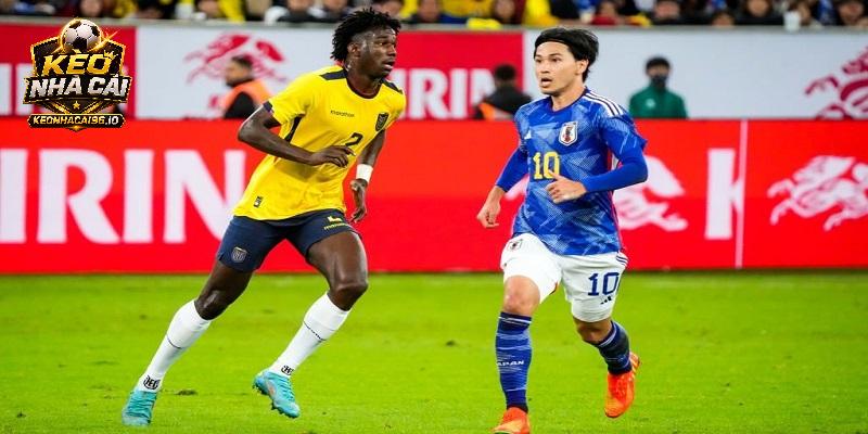 Nhận định Nhật Bản vs Ecuador Nhận định Nhật Bản vs Ecuador